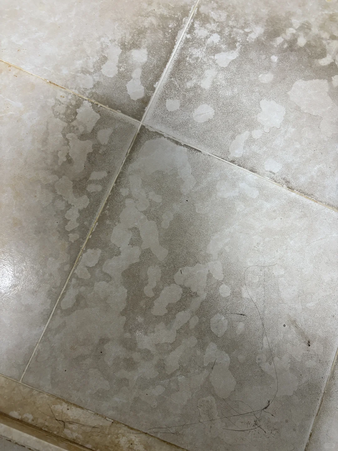 新房出租一年，这算自然损耗吗？
