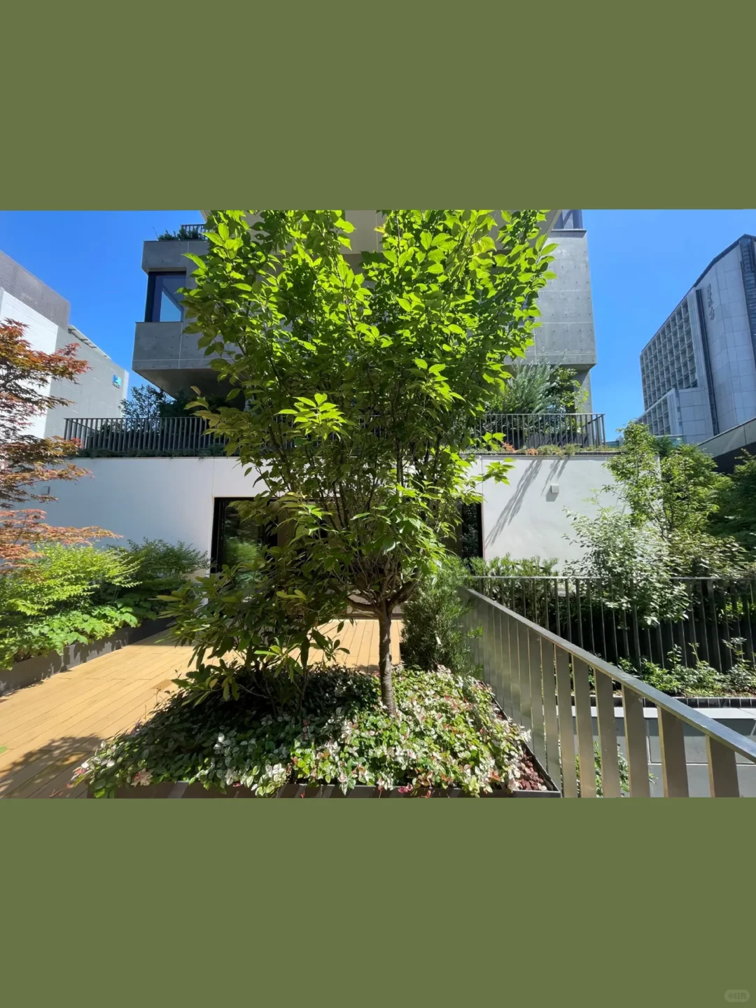 东京涩谷区全新公寓--✨ 表参道旁的奢华居