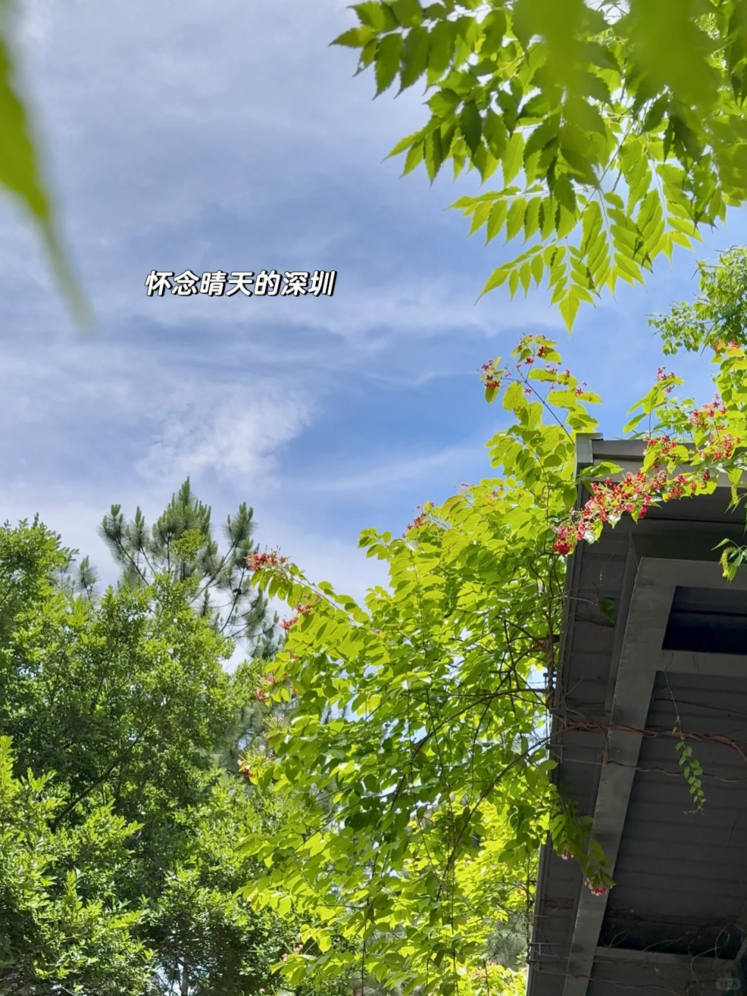 86平🏠760w，我们在深圳终于有家啦