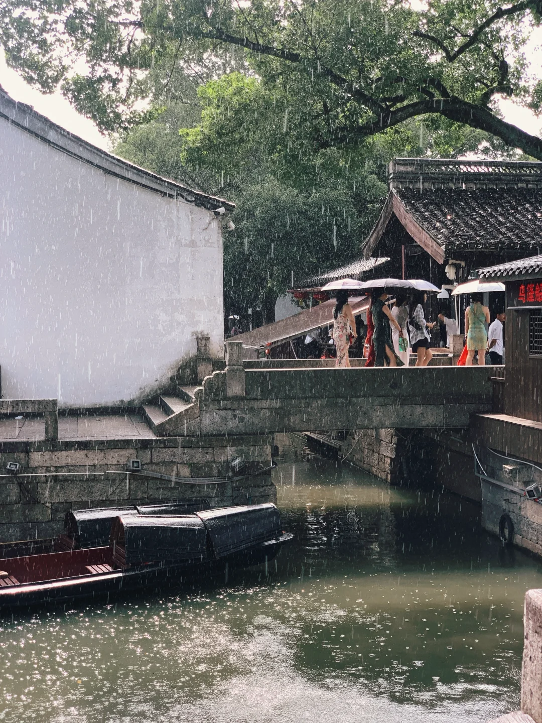 江南淡淡雨潇潇