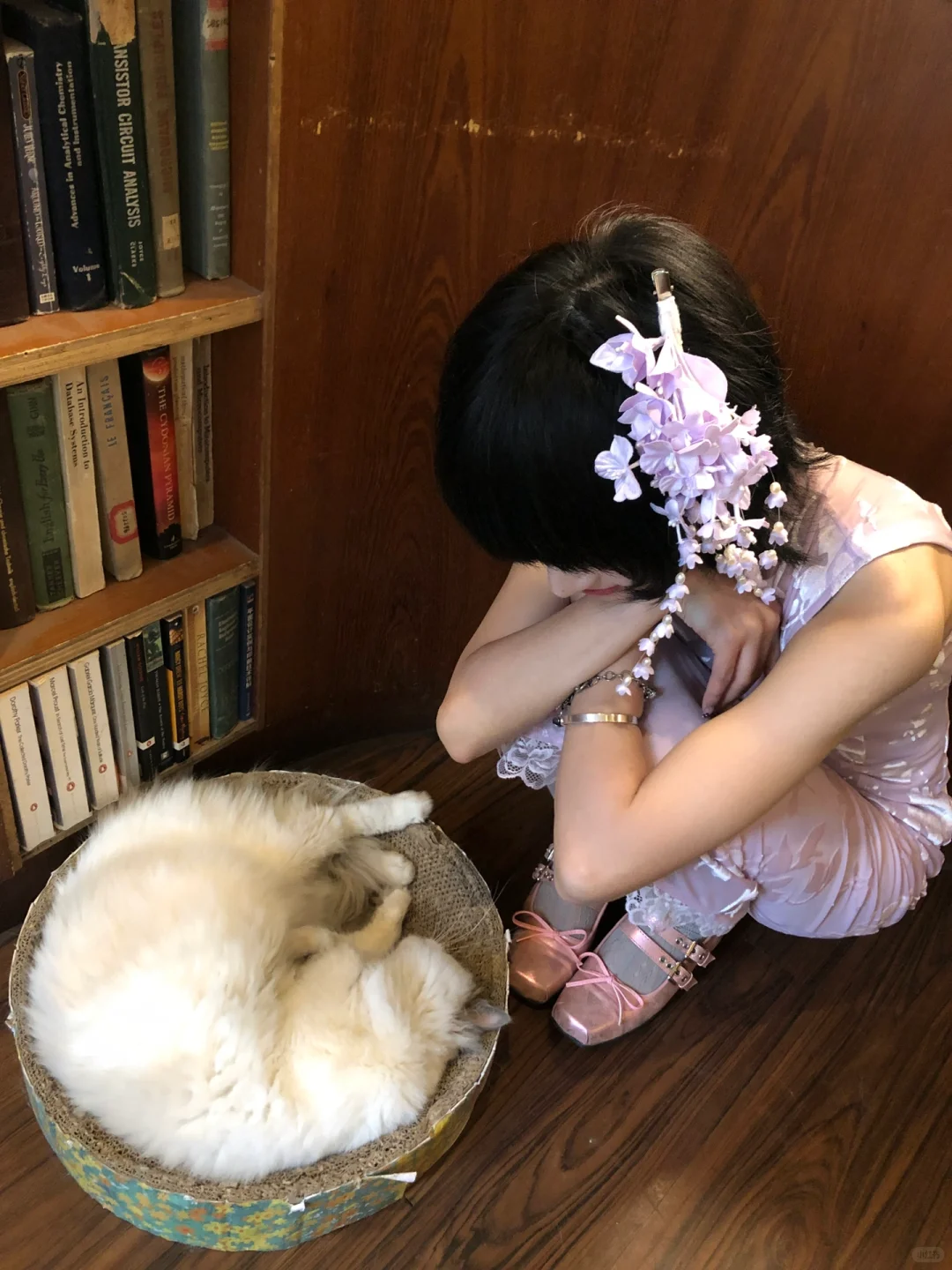 你该如何回忆我📻