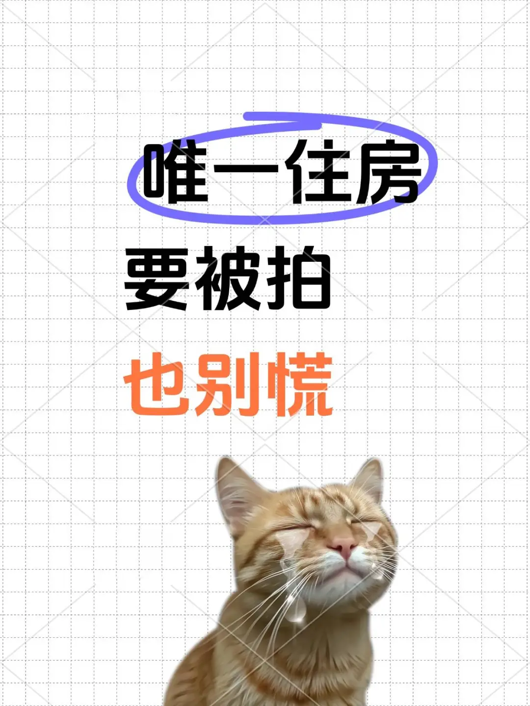唯一住房要被拍也别慌