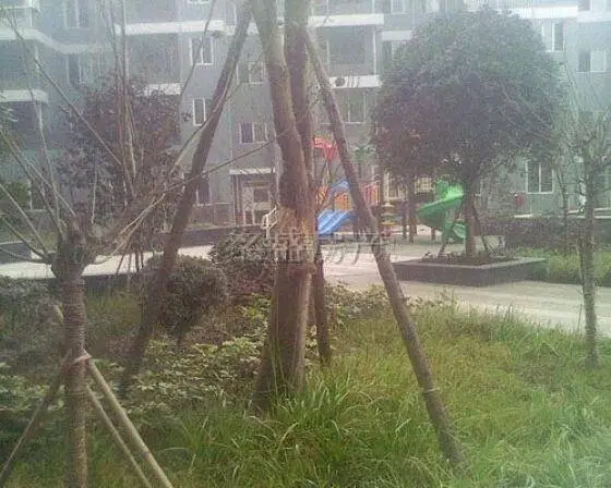 精装2房出售，双证齐全，满5年