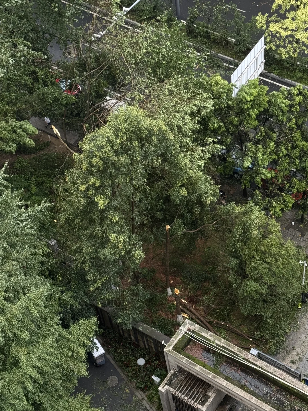 成都今天的风雨妖艳惨了！