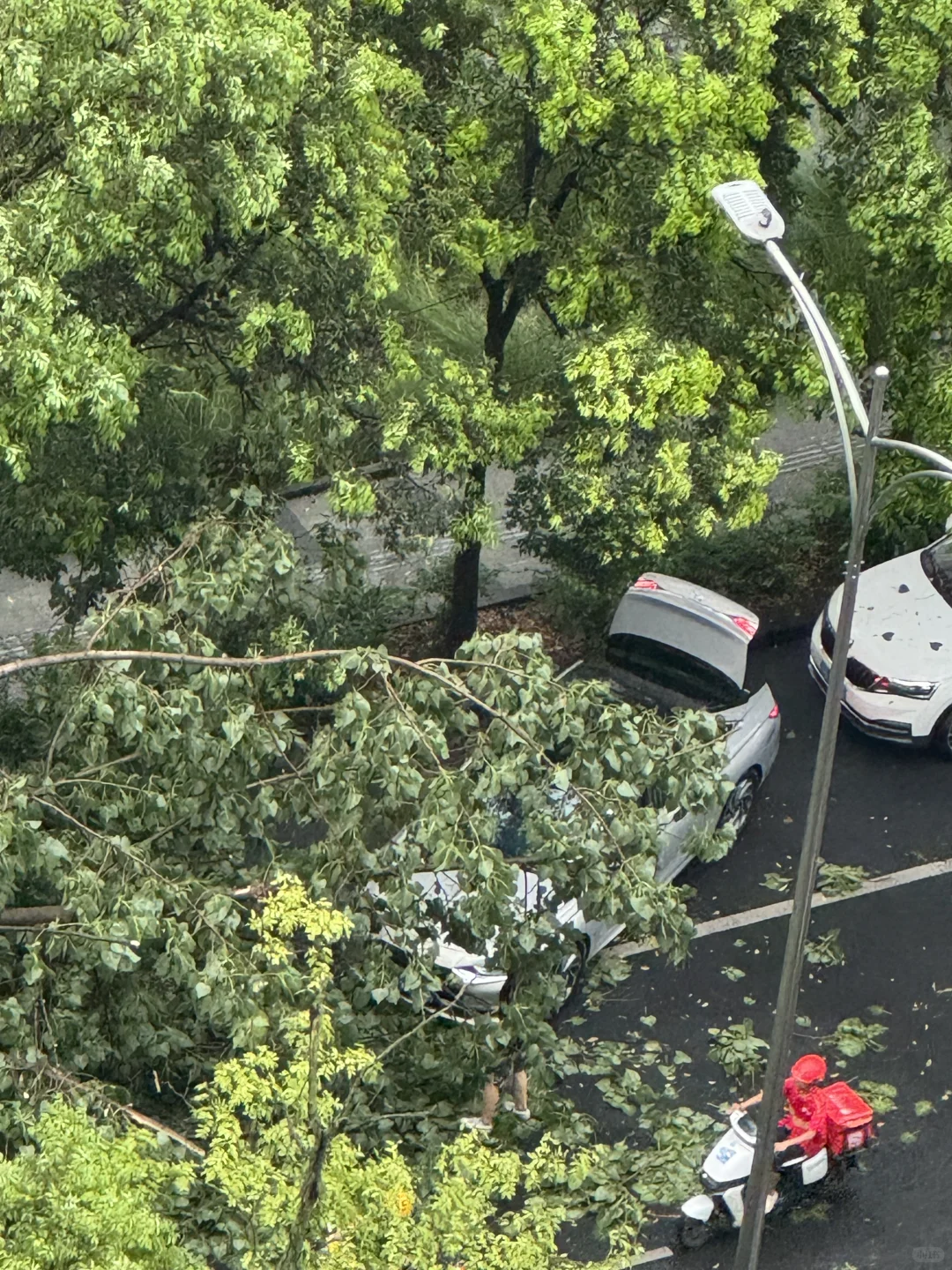 成都今天的风雨妖艳惨了！