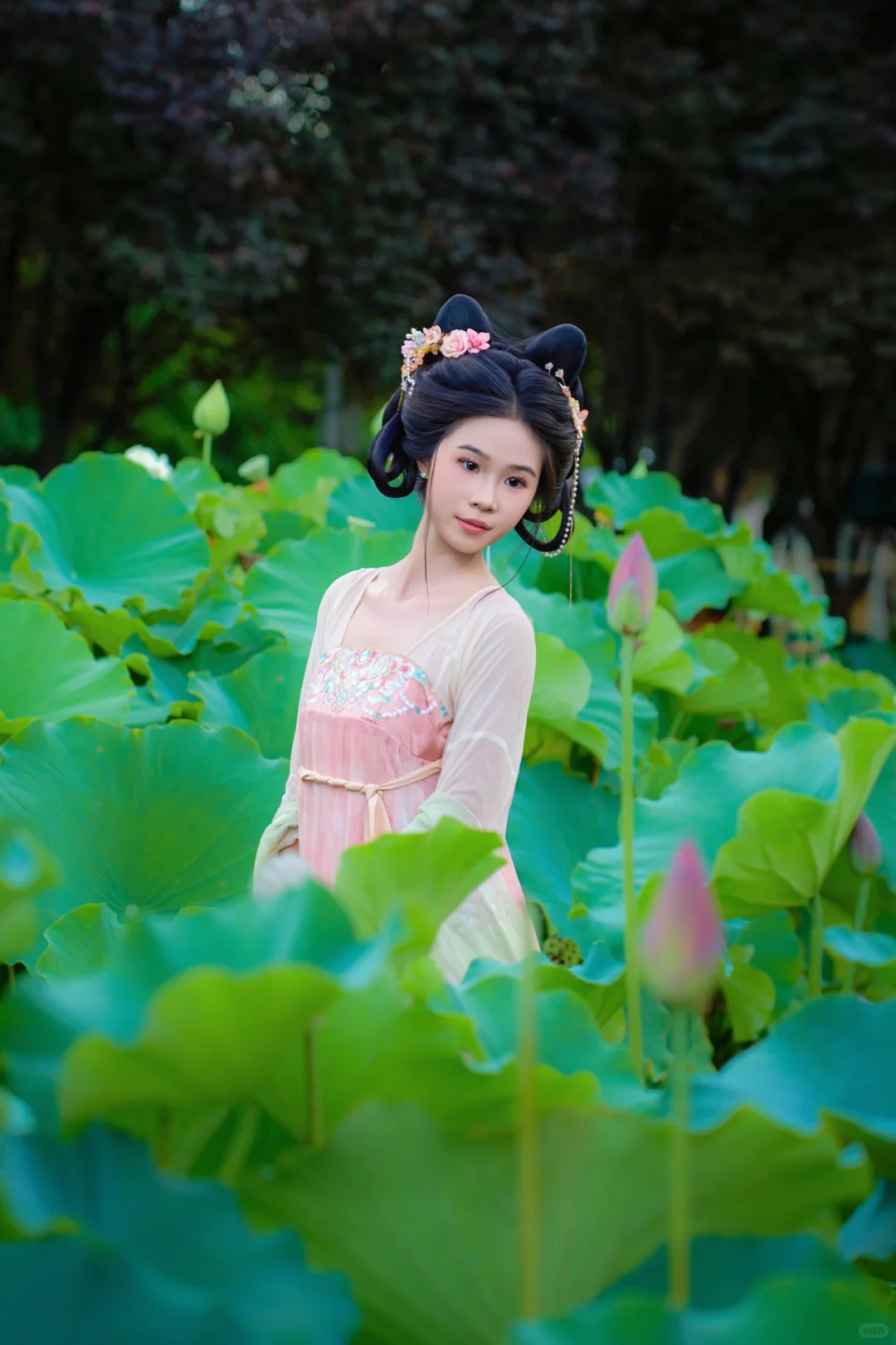 我见青山多妩媚 感君如山才可