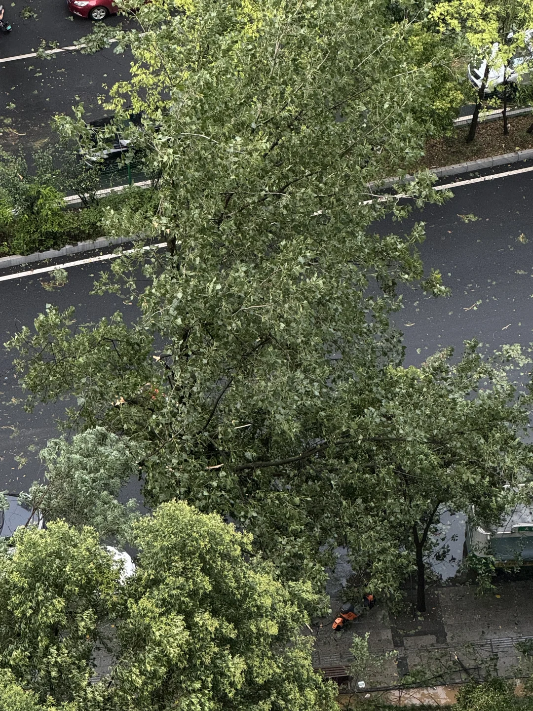 成都今天的风雨妖艳惨了！