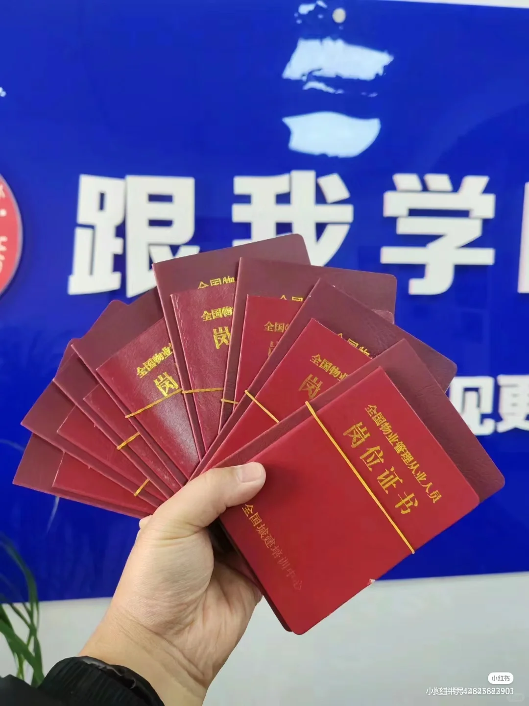 物业双证