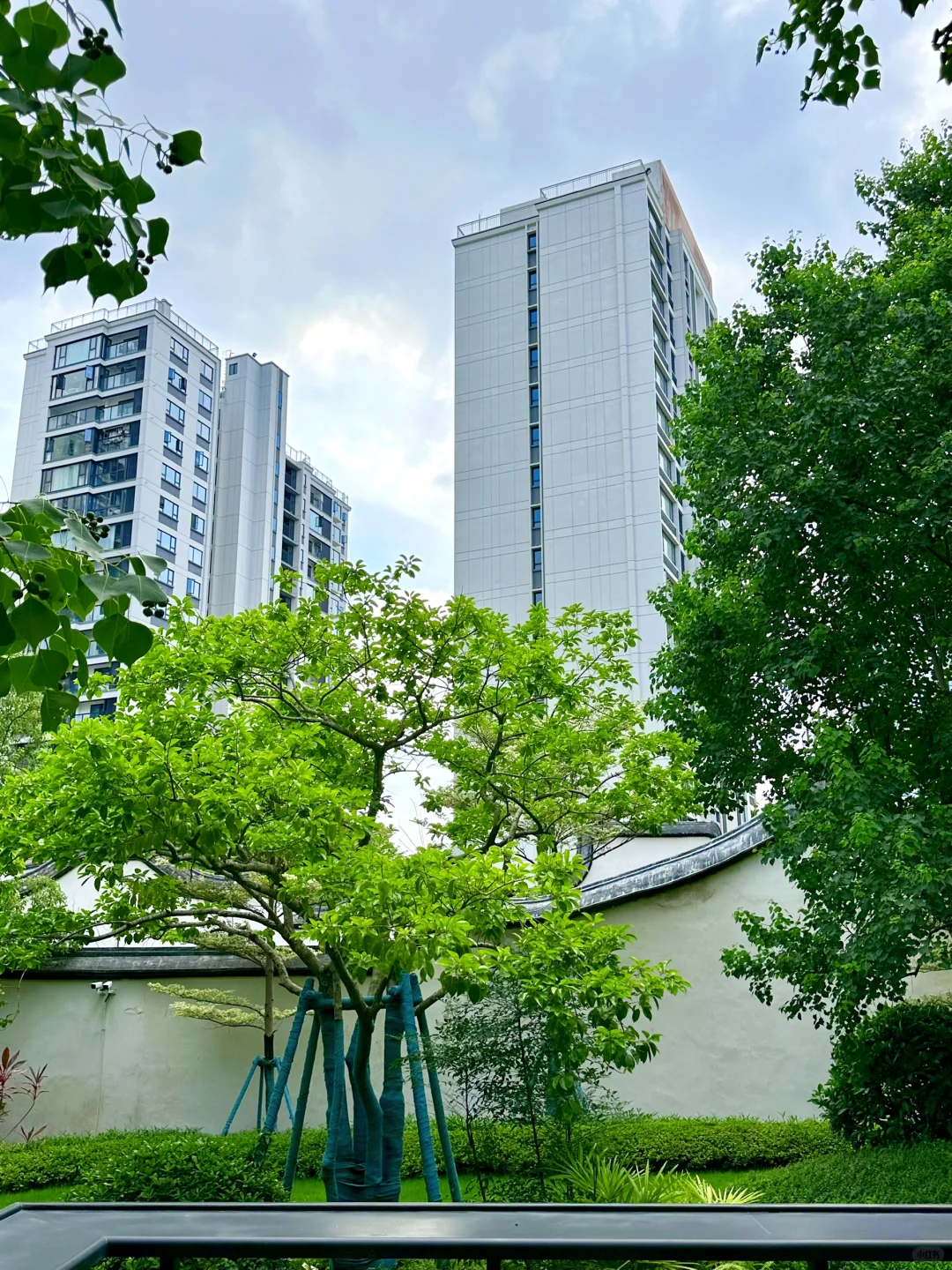 为这扇窗买一套房｜单价怒降1️⃣W抢市区独梯！