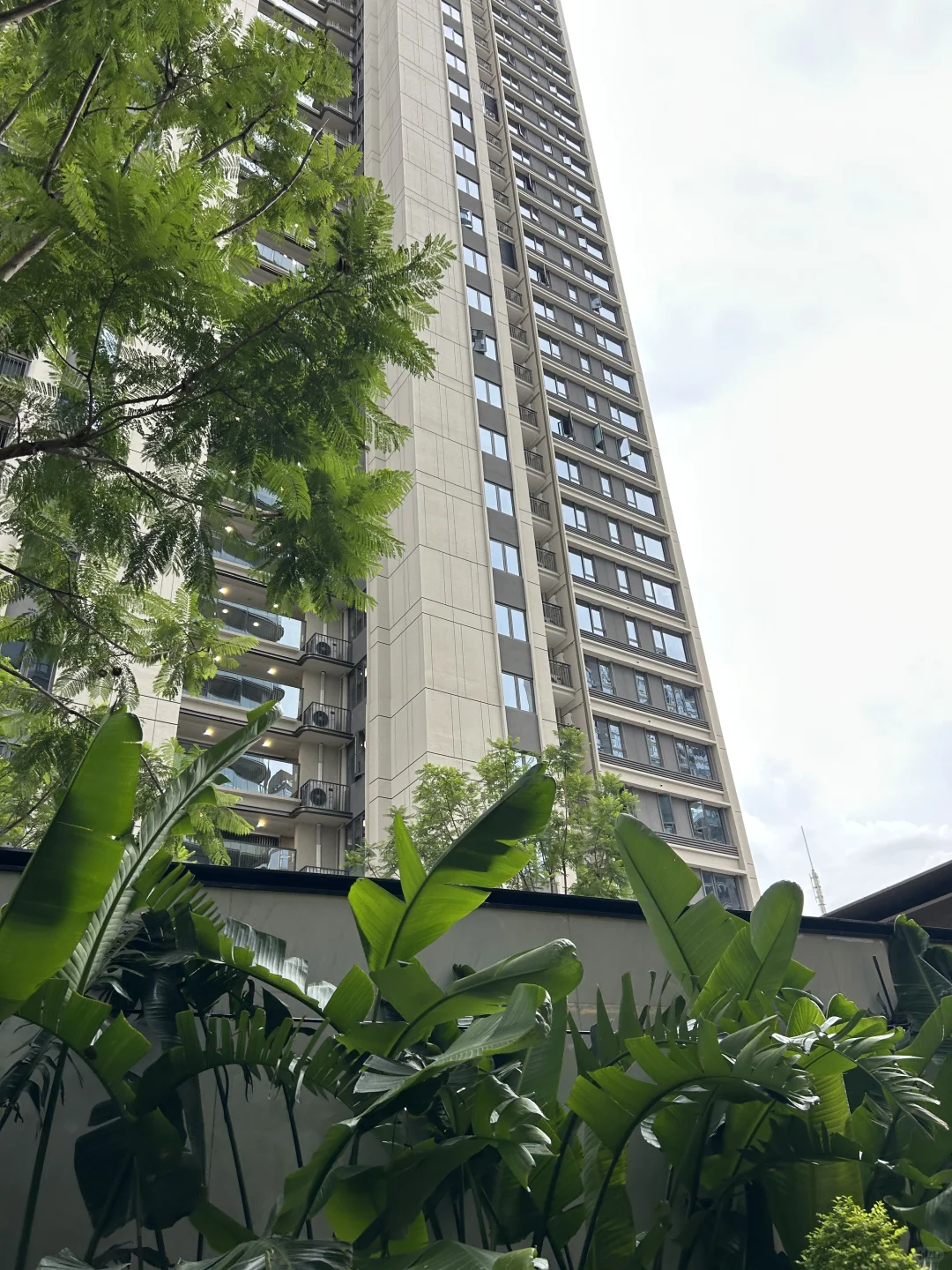 龙湖直招房产主播