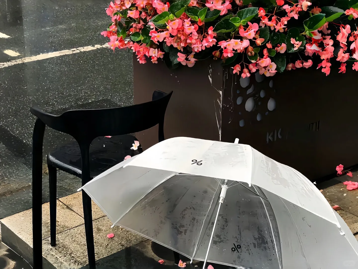 𝓢𝓱𝓪𝓻𝓮生命力iPad电脑壁纸