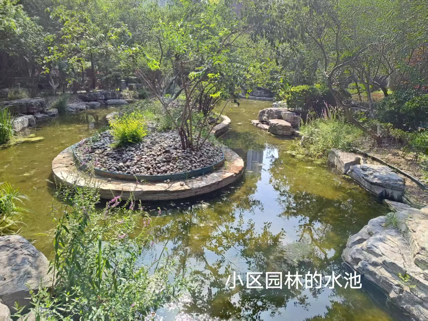 北京通州区诚心出售小区南北通透采光好