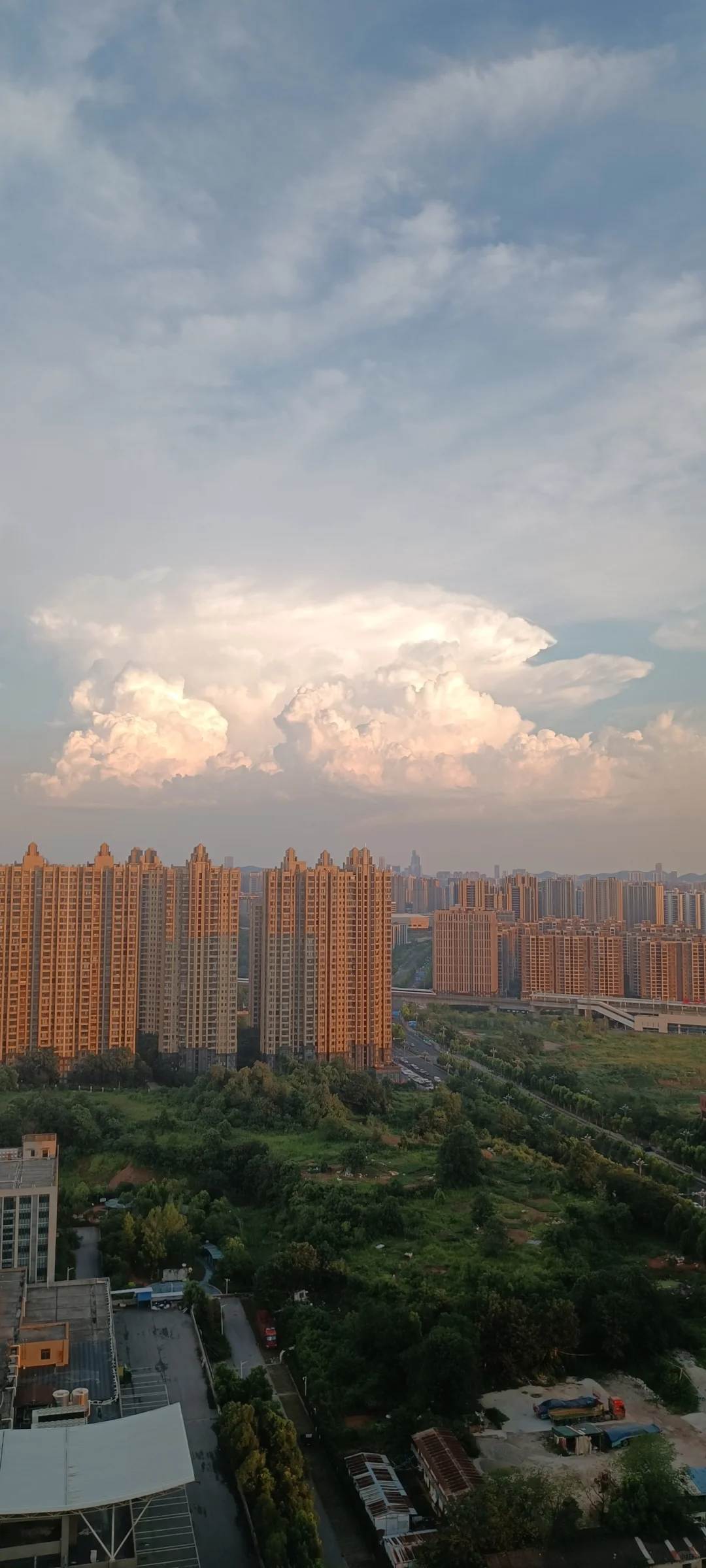 法拍房到强制腾房的这一步的多不多？