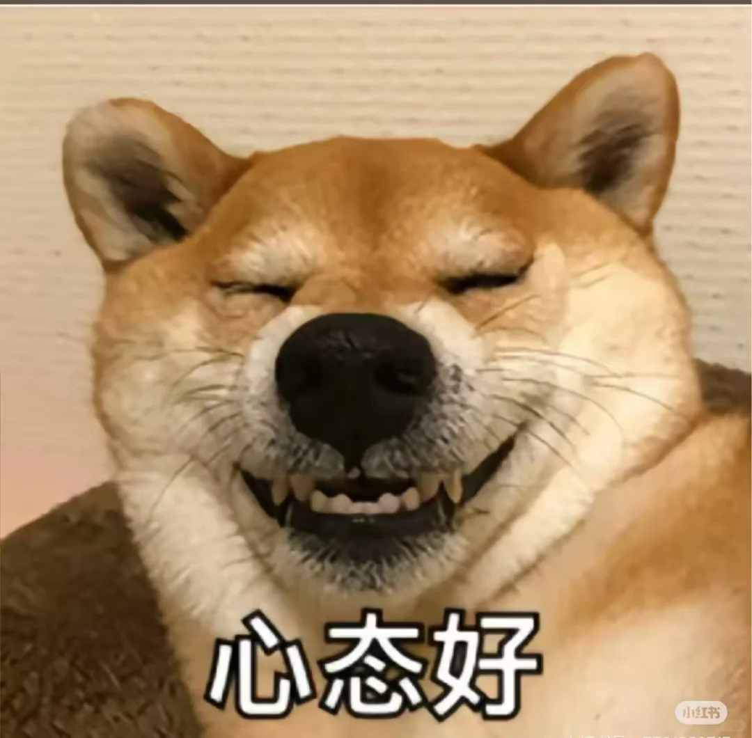 沧州大运河公园附近低价出售楼房