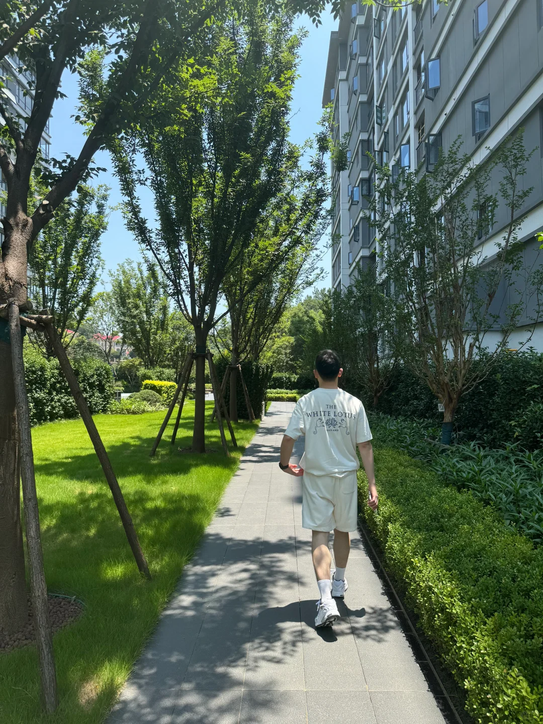 买套山景房给爸妈🏠栖山悦府看房日记