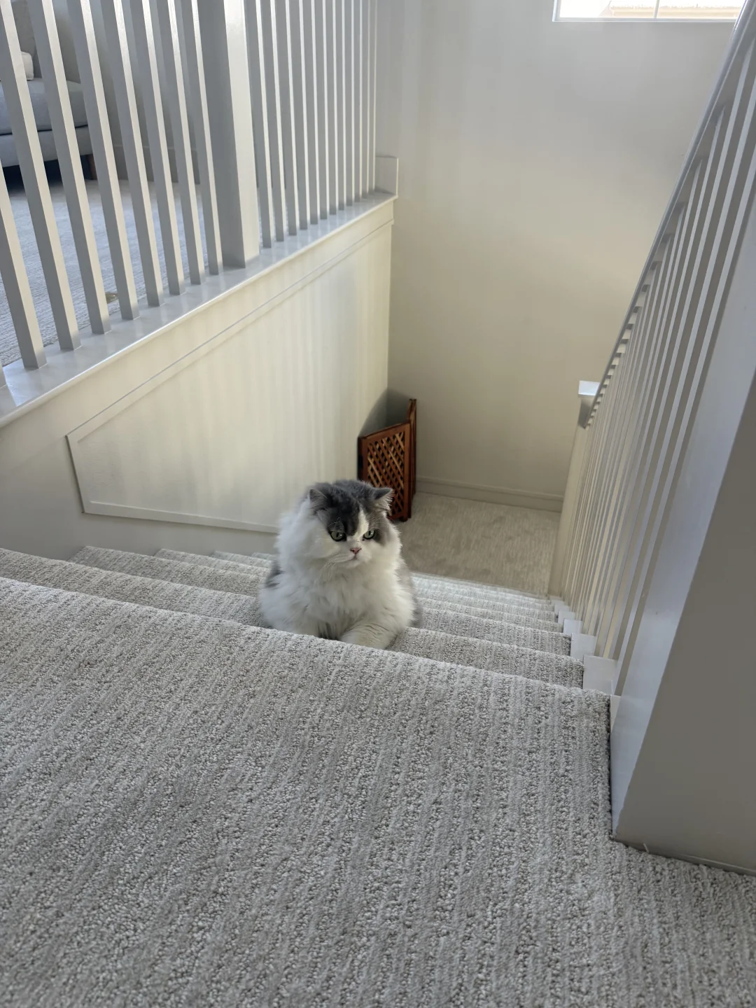 🏠美国买房避坑经验，Double Closing血泪史