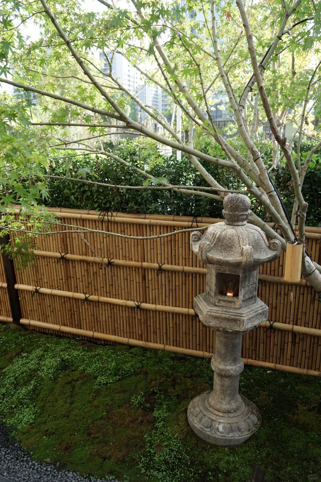 🏡一楼洋房值得买吗❓（优缺点✅）