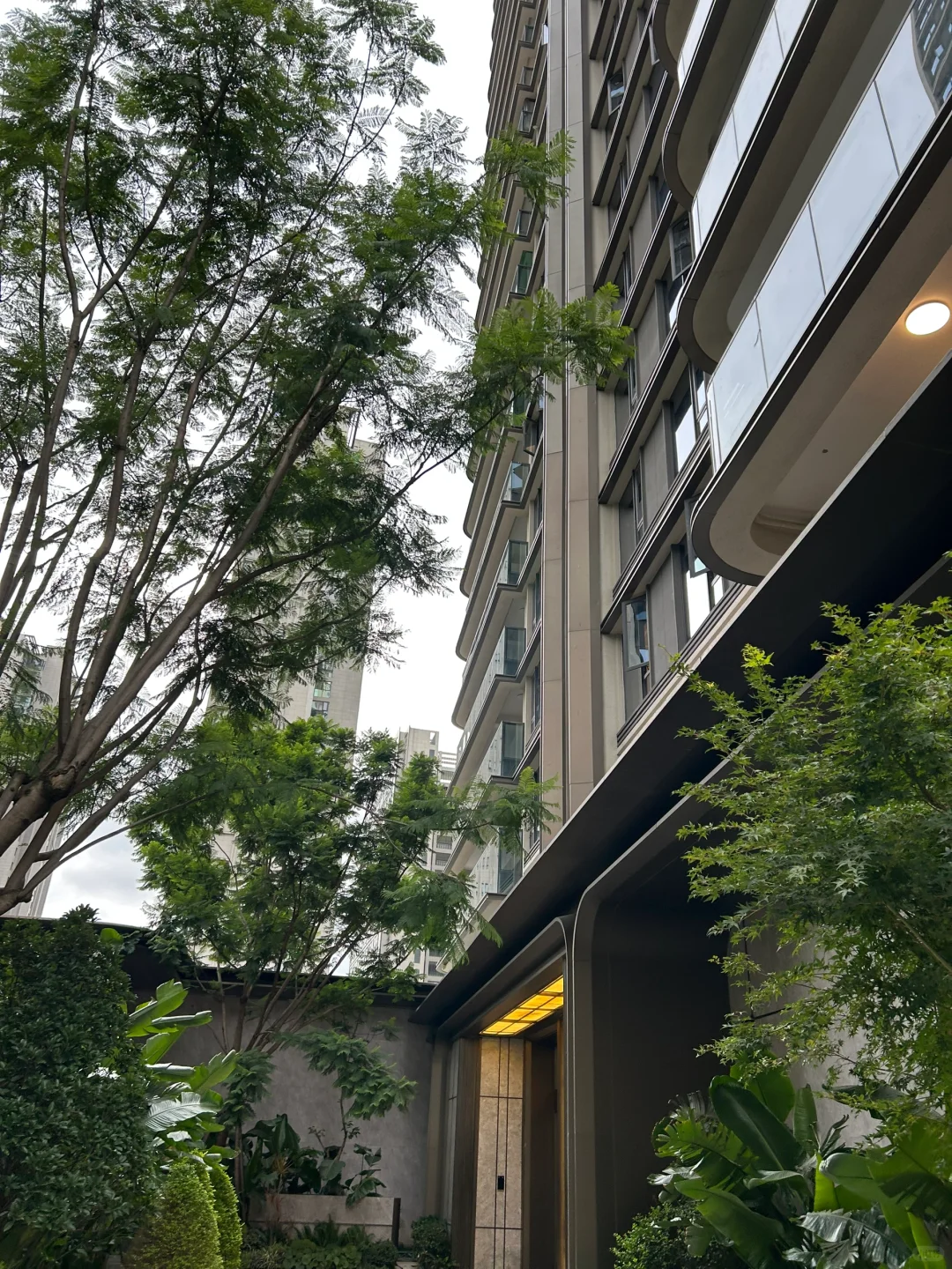 龙湖直招房产主播