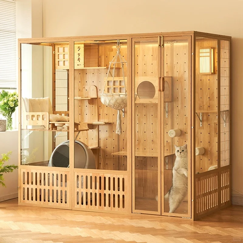 全景玻璃猫别墅！毛孩的五星级豪宅来啦🐾