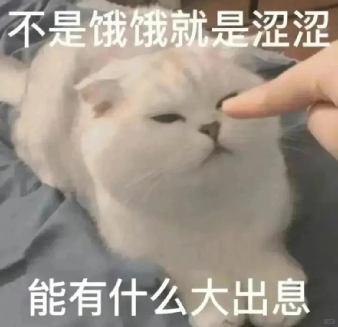 同居日常🟰不是饿饿就是瑟瑟