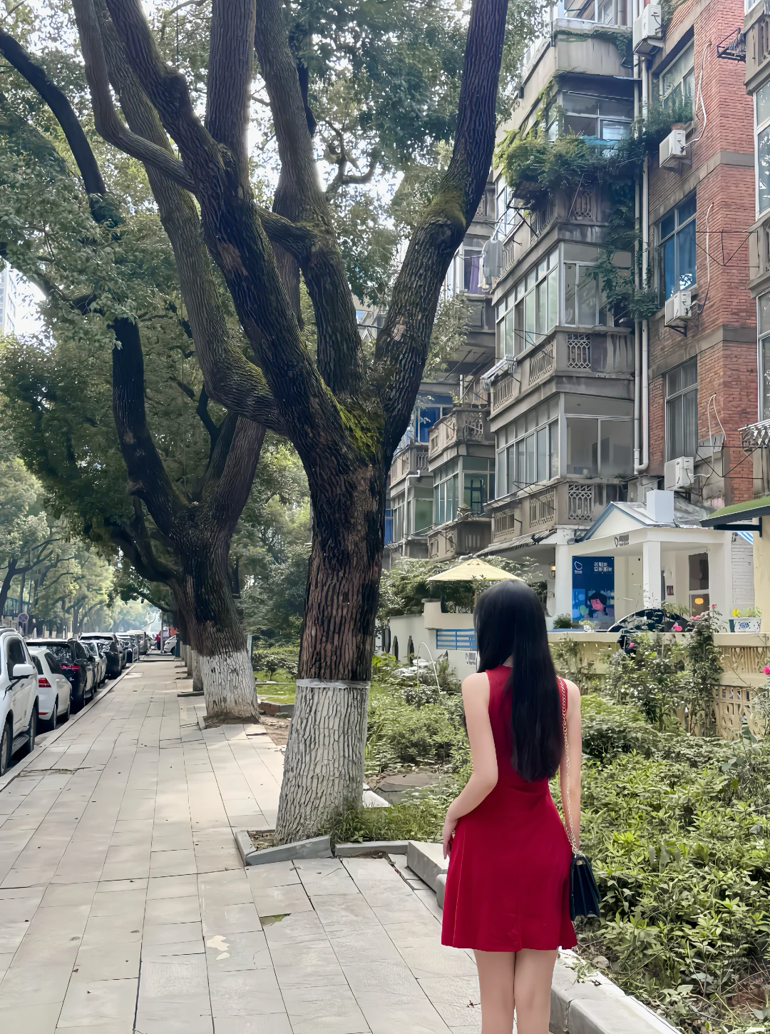 媚 明媚的媚妩媚的媚