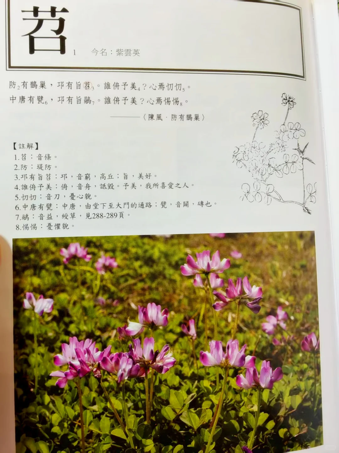 古人撩妹暗号？全是野菜密码！