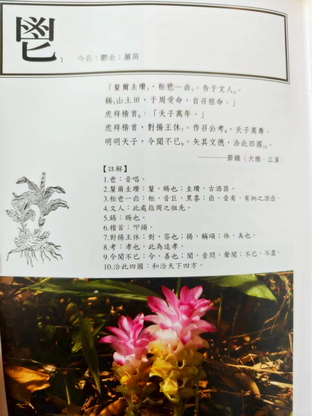 古人撩妹暗号？全是野菜密码！