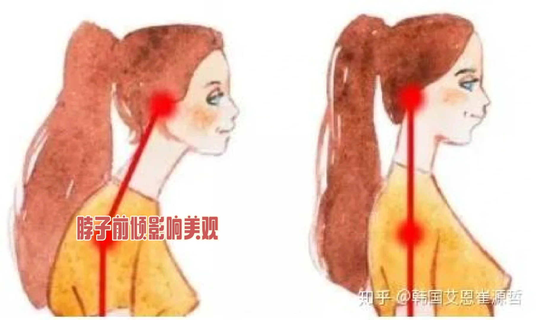美人感体态2