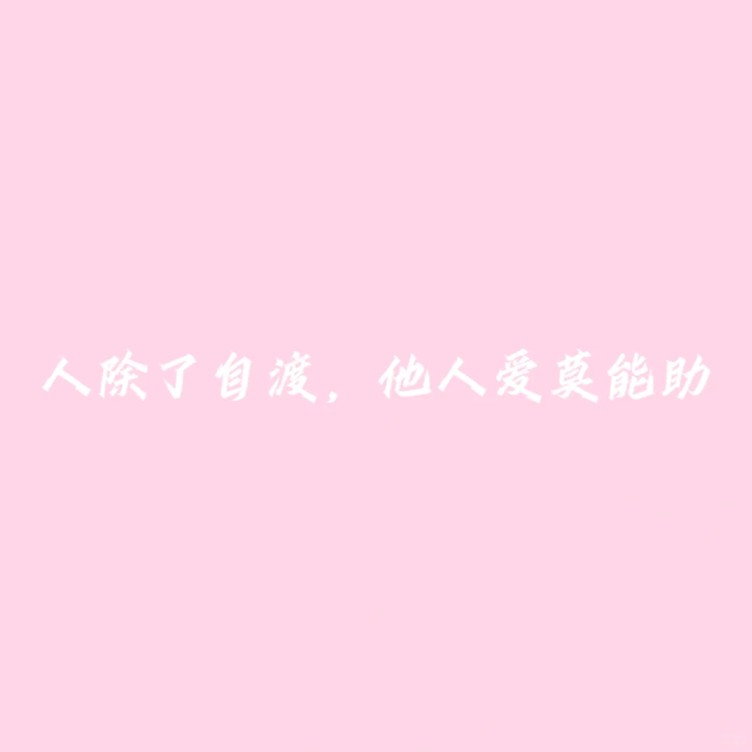 小说《尤物》随笔摘抄