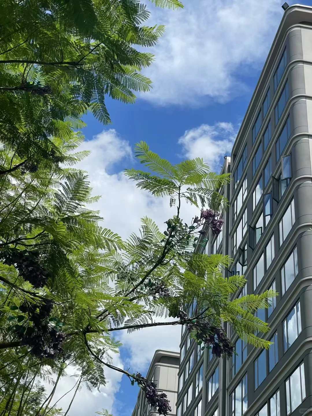 终于在30岁拿下这个小区