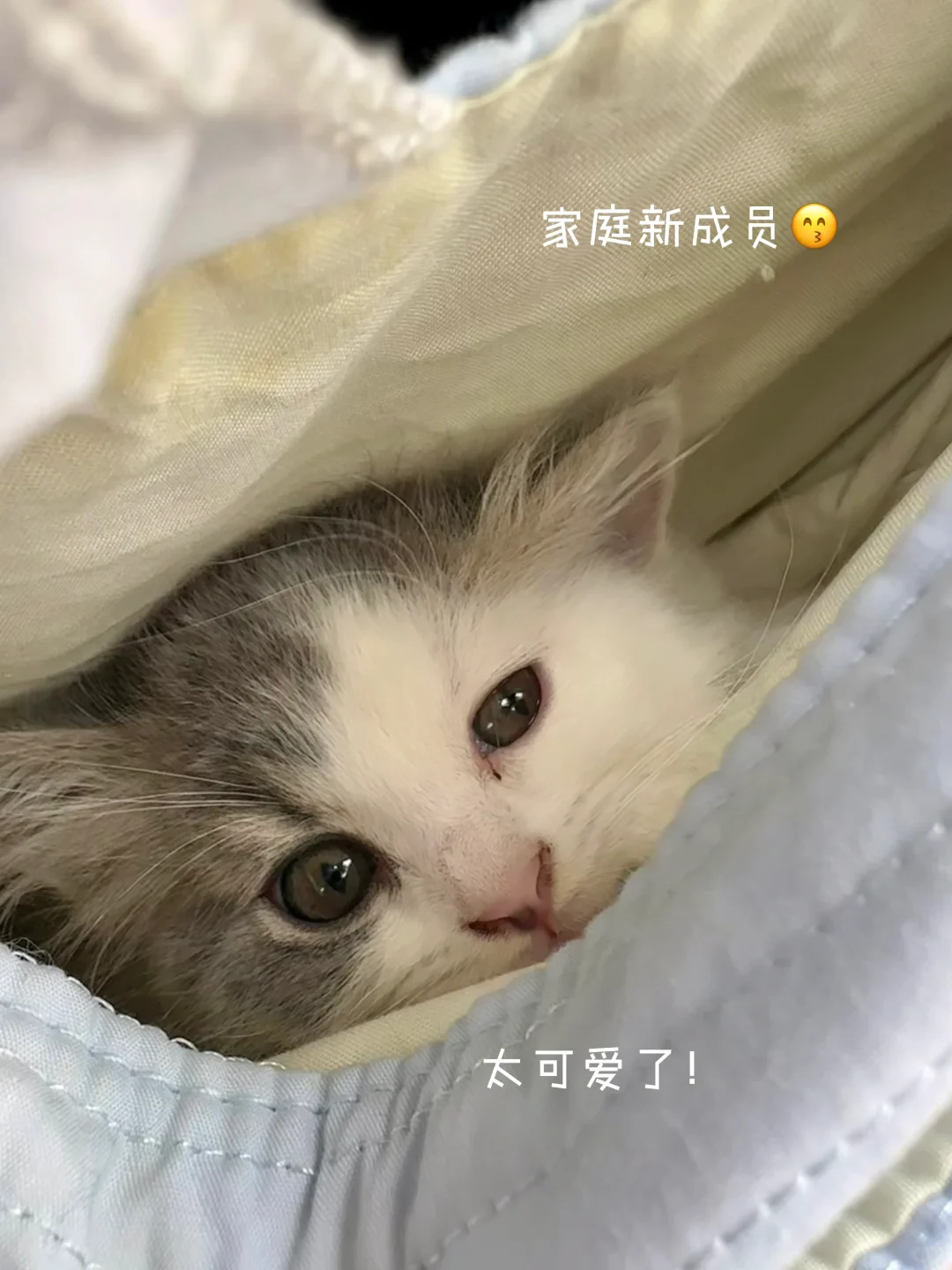 23岁 小复式入住！