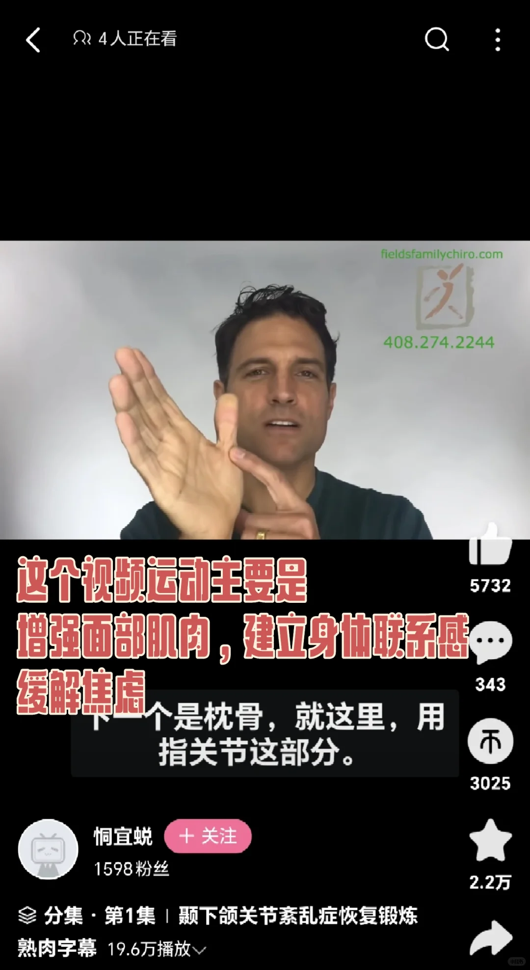 美人感体态2