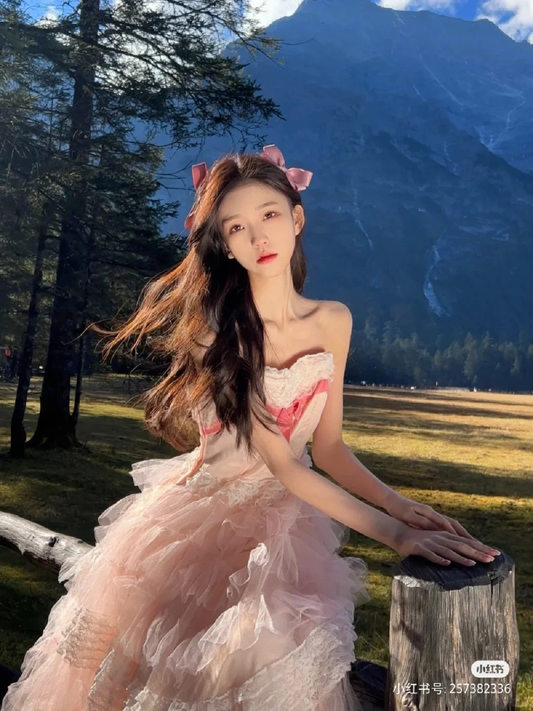 有美一人，清扬婉兮。