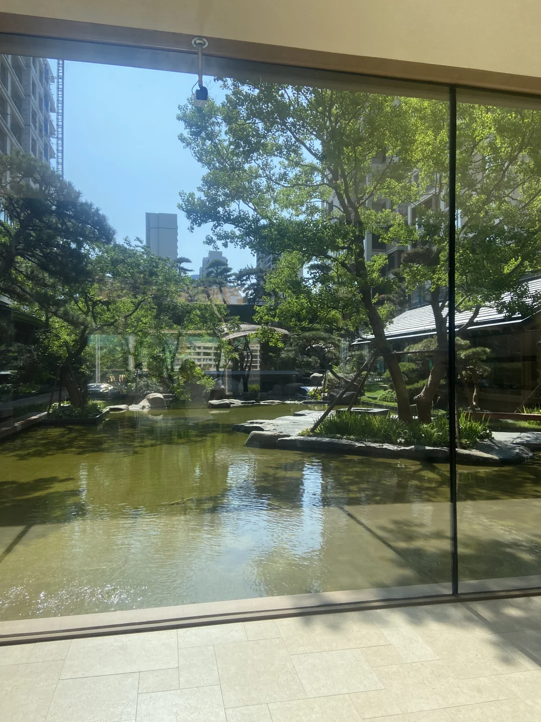 市中区300多万干净 整洁 观山洋房