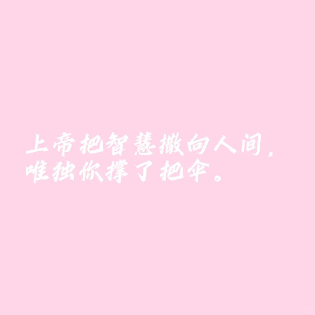 小说《尤物》随笔摘抄