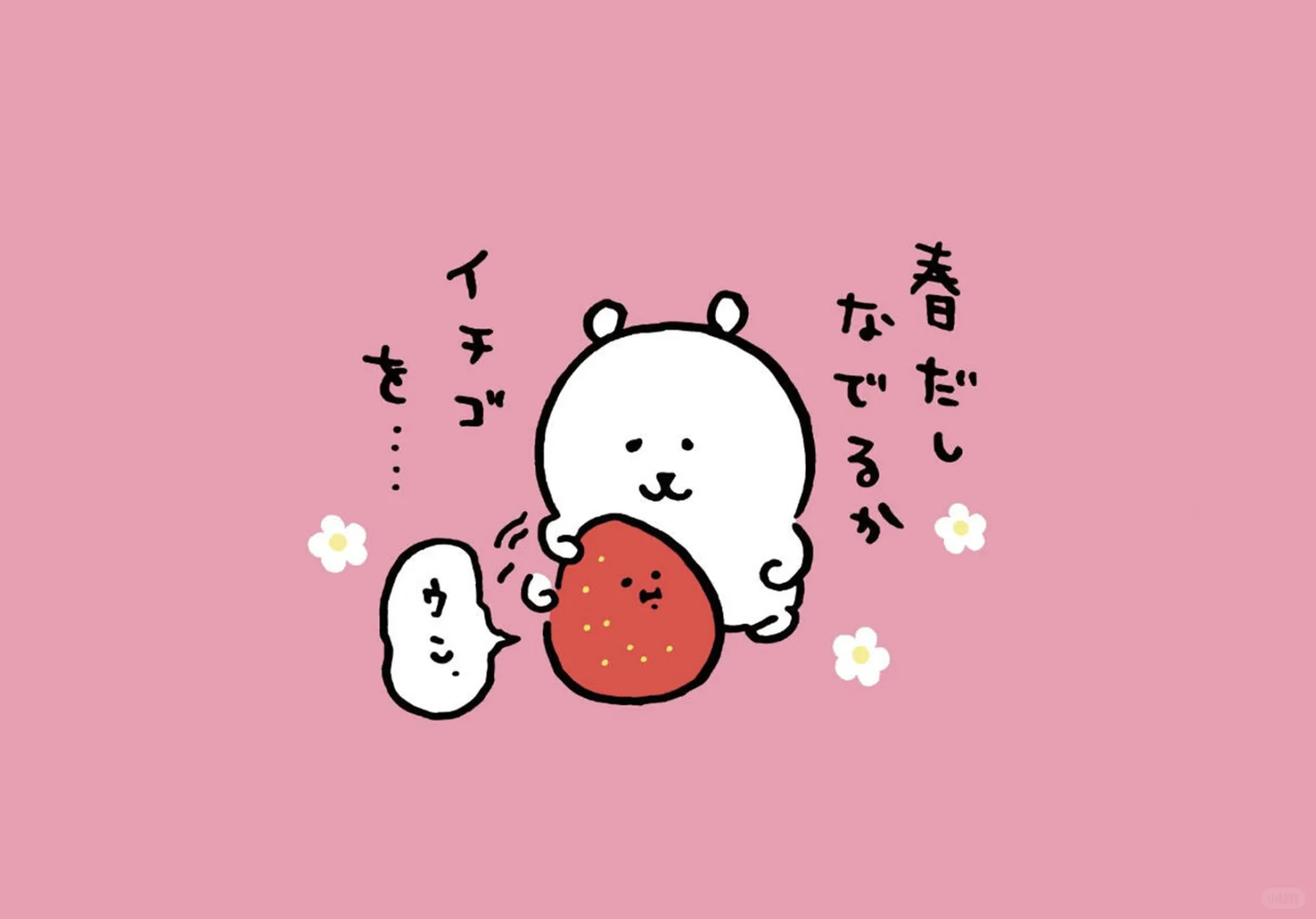 「自嘲熊平板壁纸」