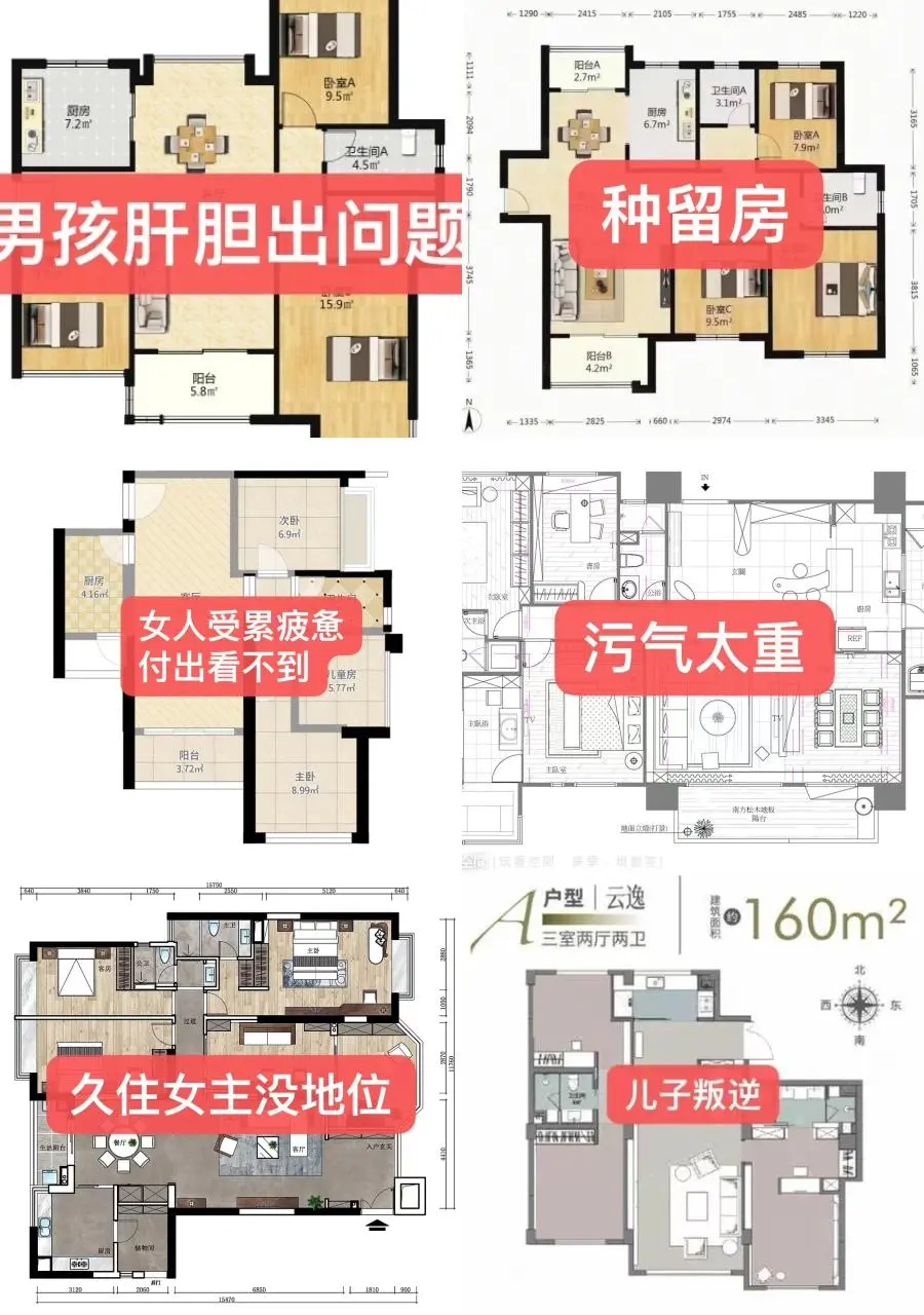 好户型指南🗺️揭秘理想居住蓝图