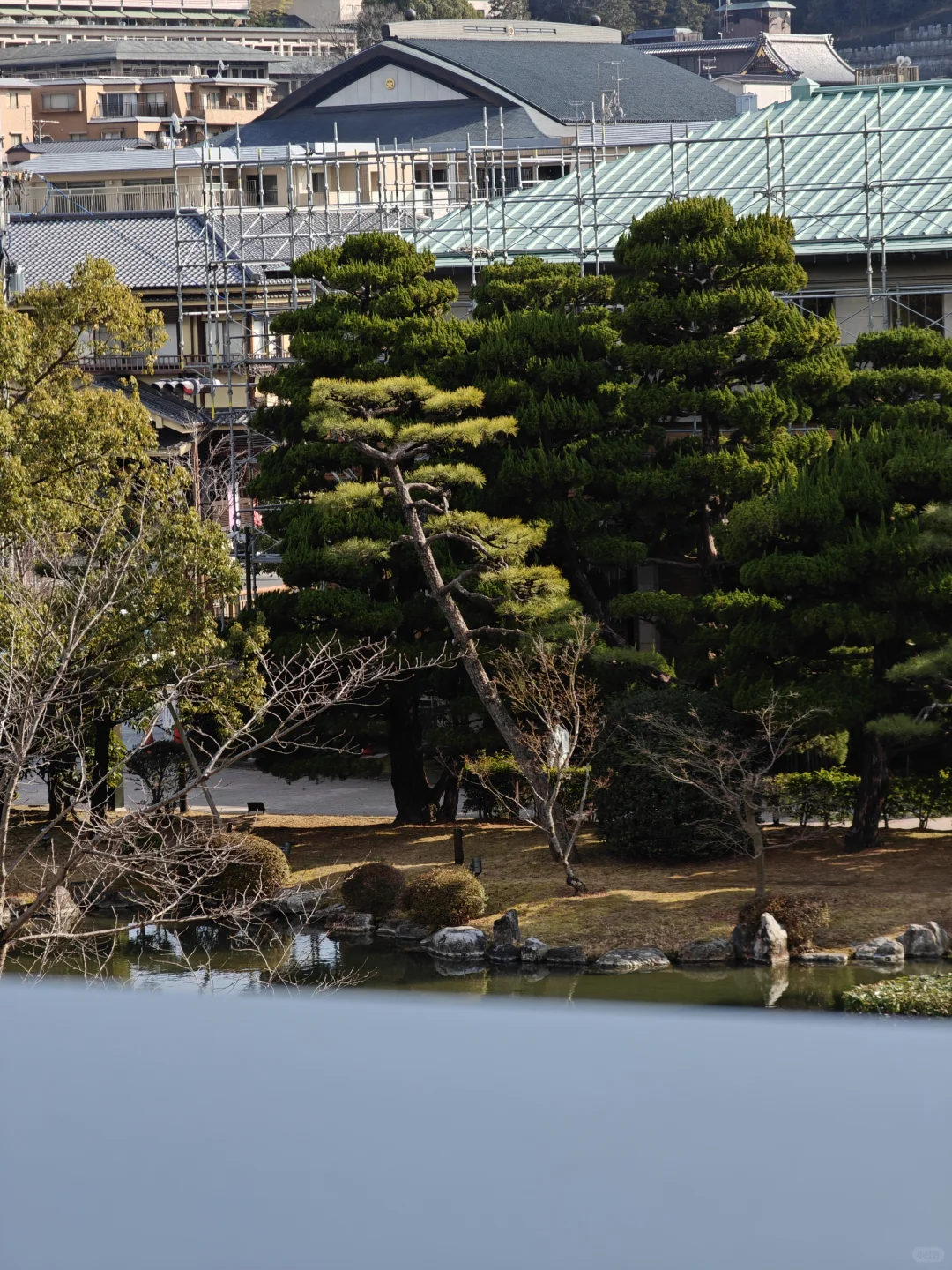 京都尤物