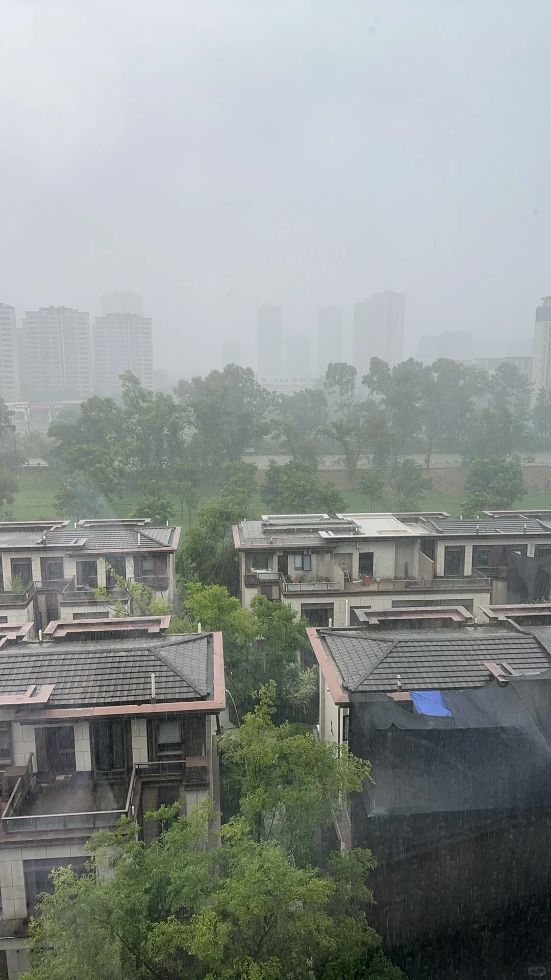 找个室友有没有人呢🧐有房子