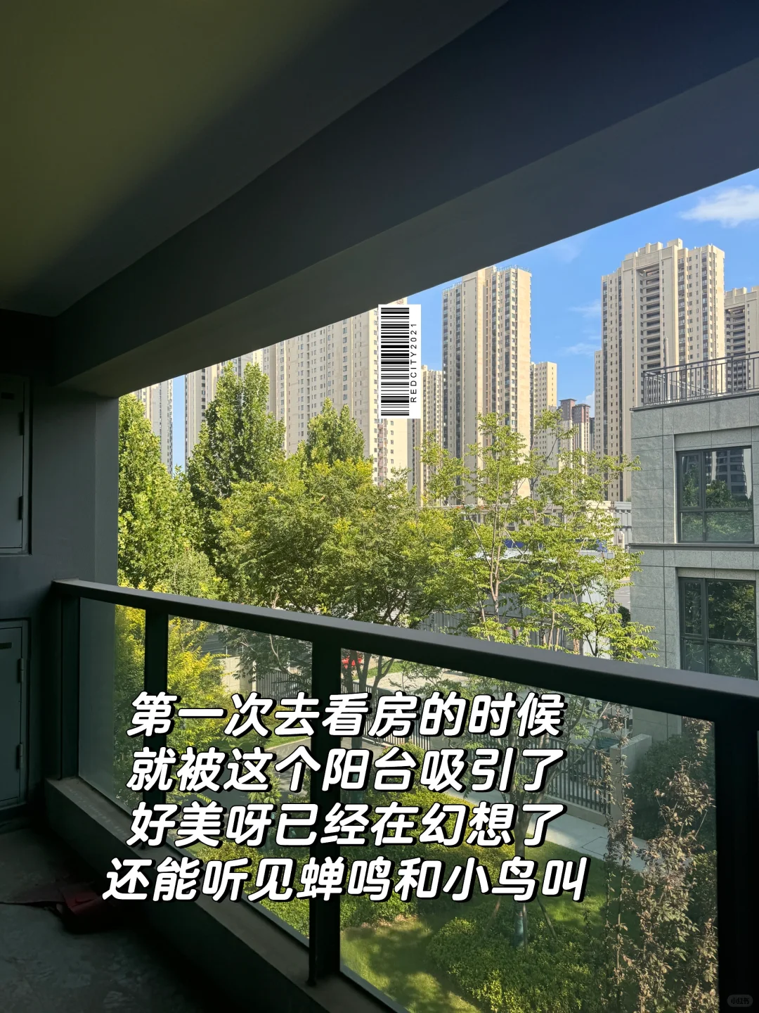 因为这个阳台租了个1300三室两卫的空房