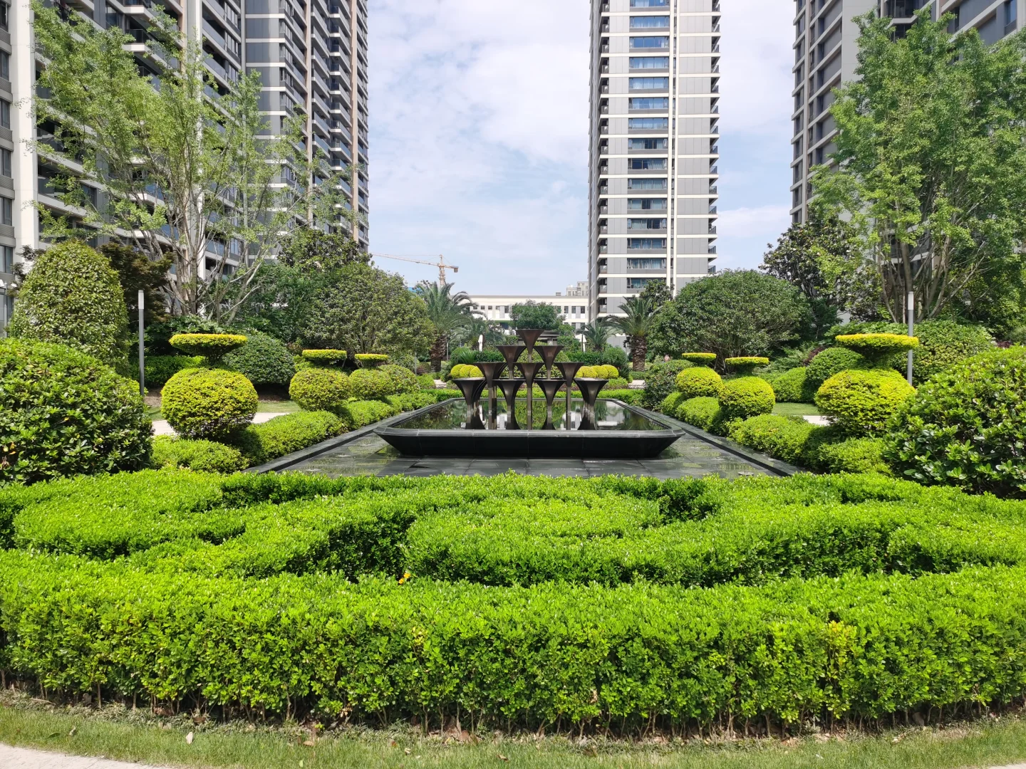 这小区的环境您喜欢吗，奥体核心区域