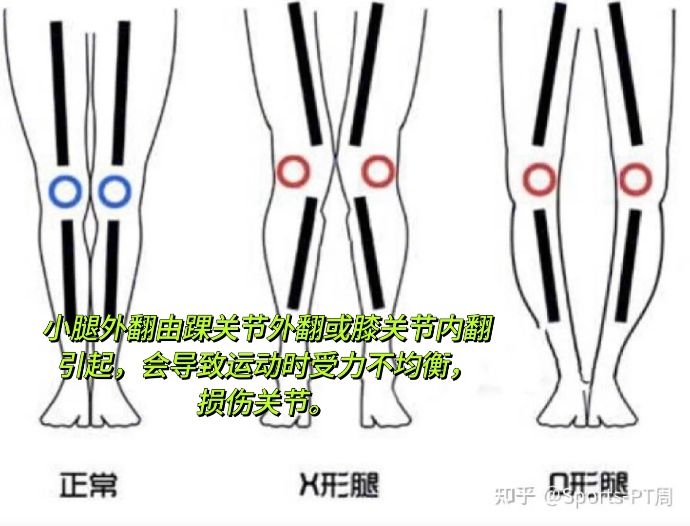 美人感体态1