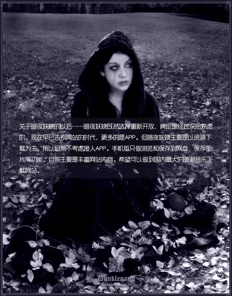关于暗夜妖娆的以后