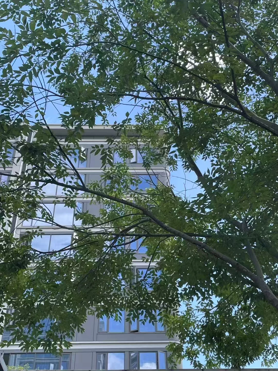 终于在30岁拿下这个小区