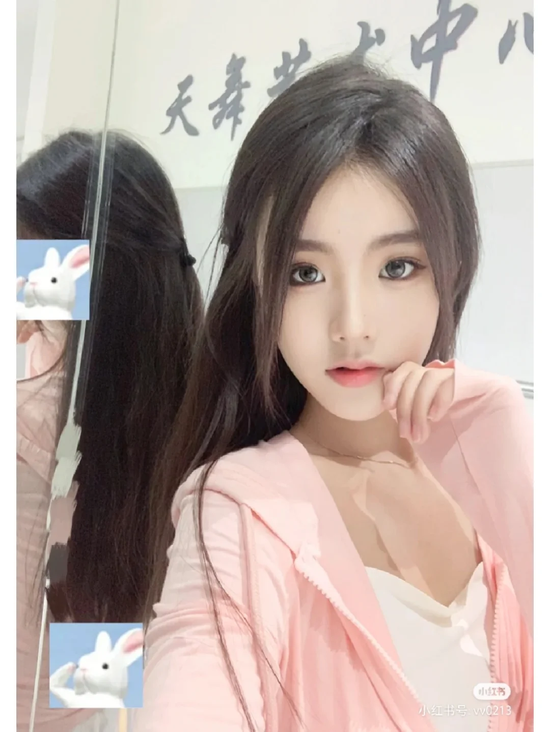 有美一人，清扬婉兮。