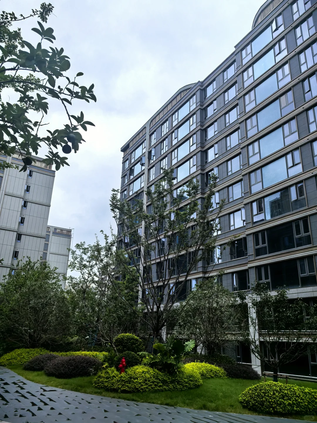 还是没撑住125洋房之前350现在250