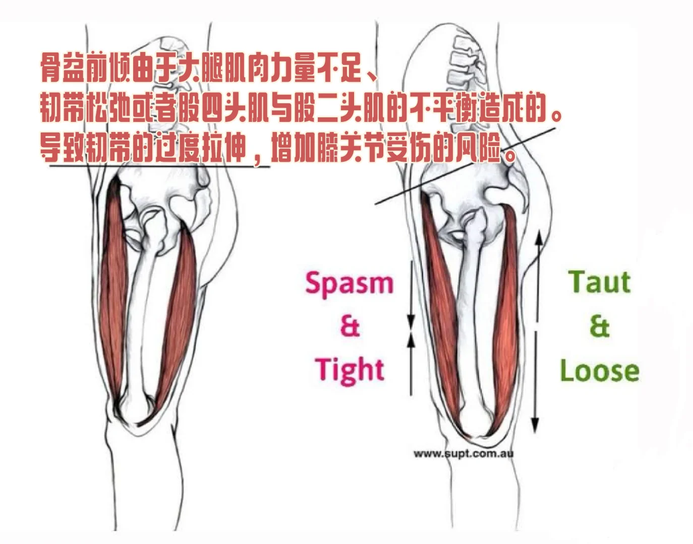 美人感体态1