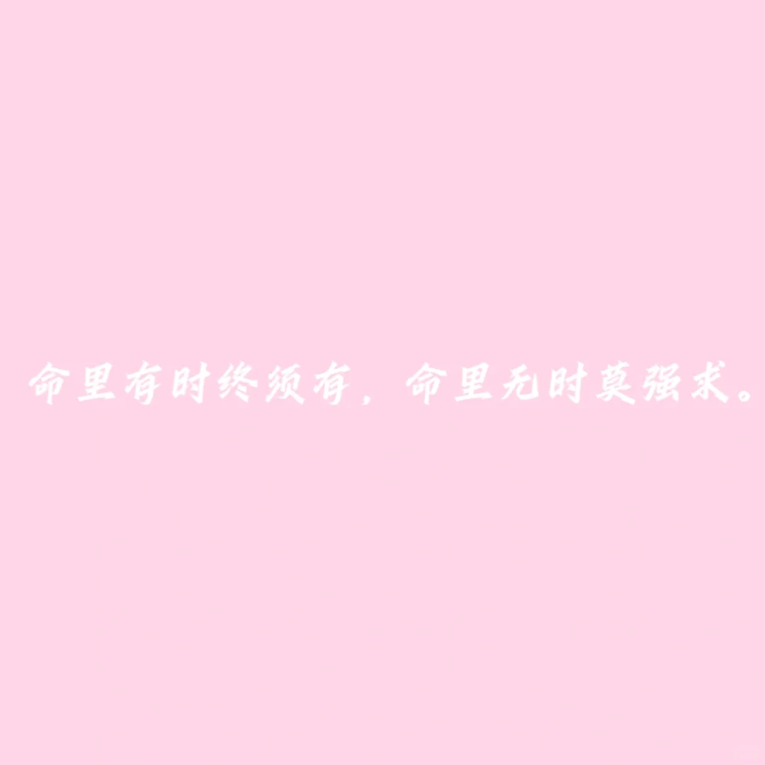 小说《尤物》随笔摘抄