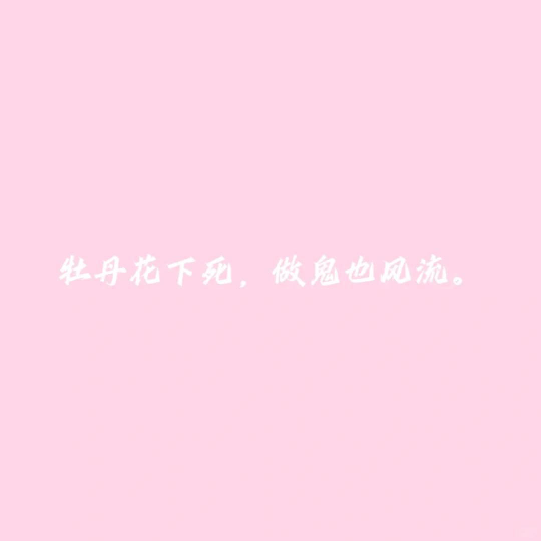 小说《尤物》随笔摘抄