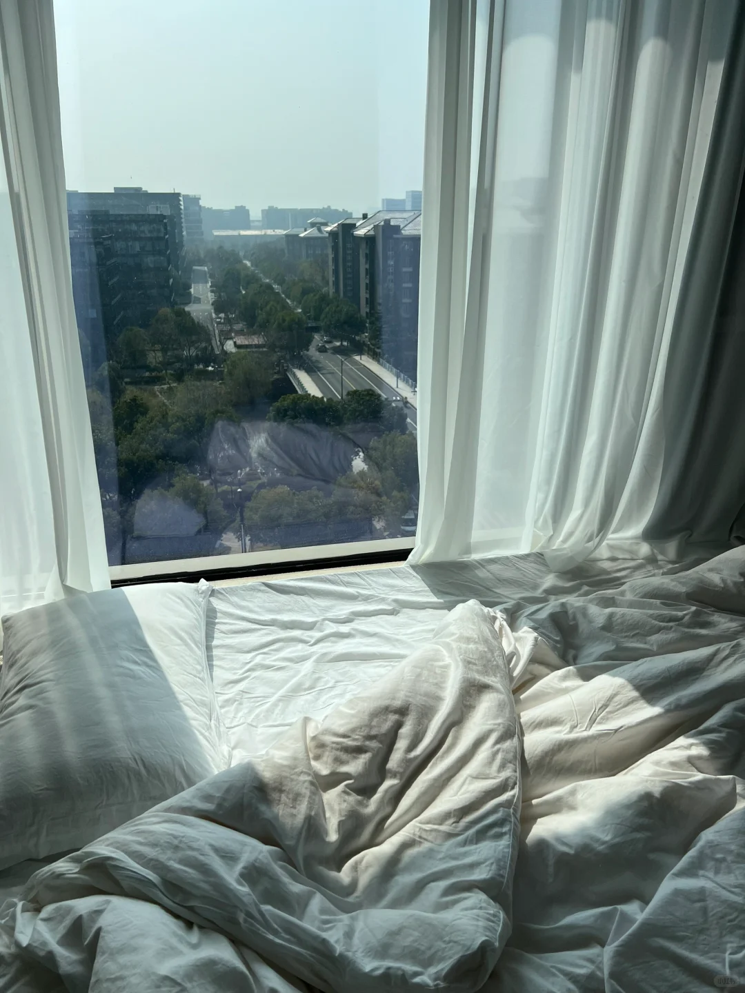 租房经验分享贴 希望大家都能找满意的家
